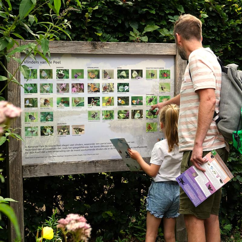Man en meisje staan tussen planten en wijzen naar bord met plaatjes van vlinders