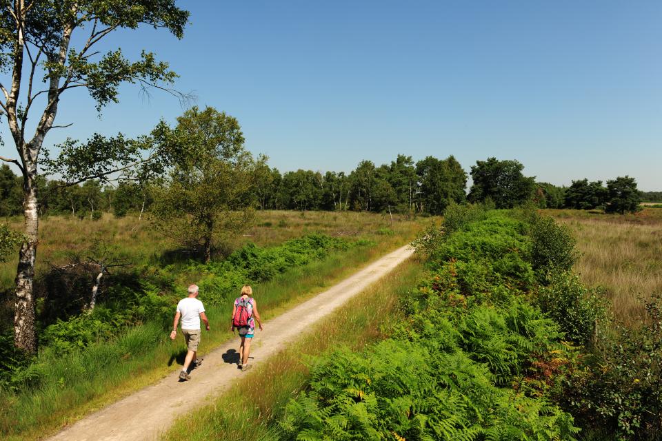 Wandelen