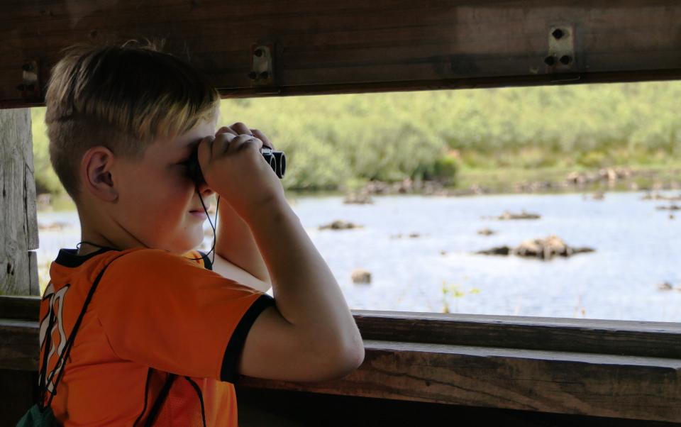 Jongen in vogelkijkhut kijkt door verrekijker naar waterplas
