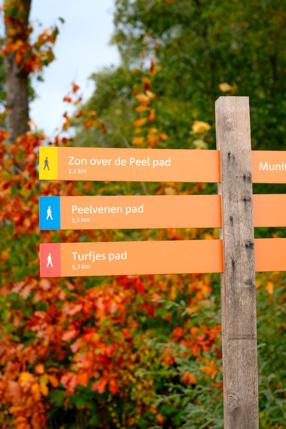 Bewegwijzeringsbord in bos