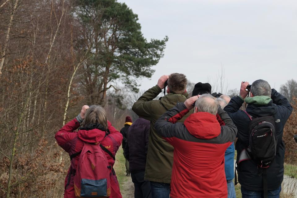 Groep volwassenen kijkt met verrekijker naar bomen