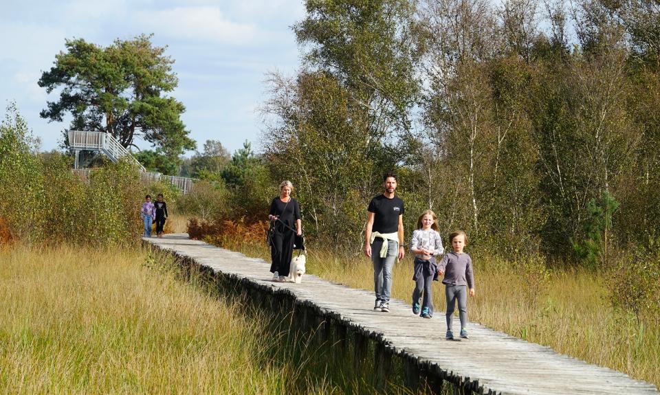 Volwassenen en kinderen en aangelijnde hond lopen over knuppelbrug