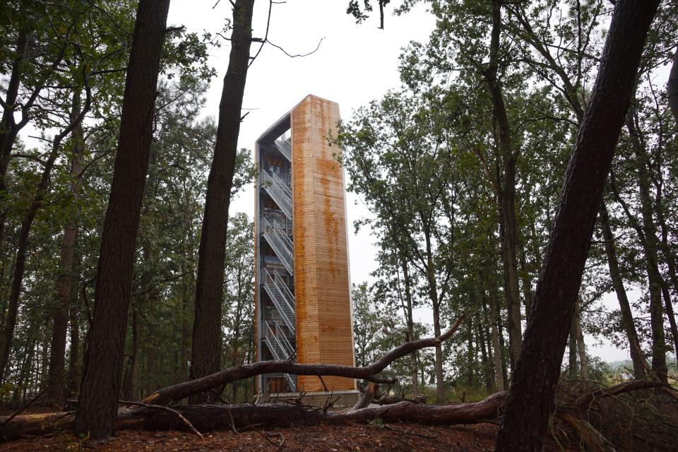 Uitkijktoren Belfort Vossenberg tussen bomen