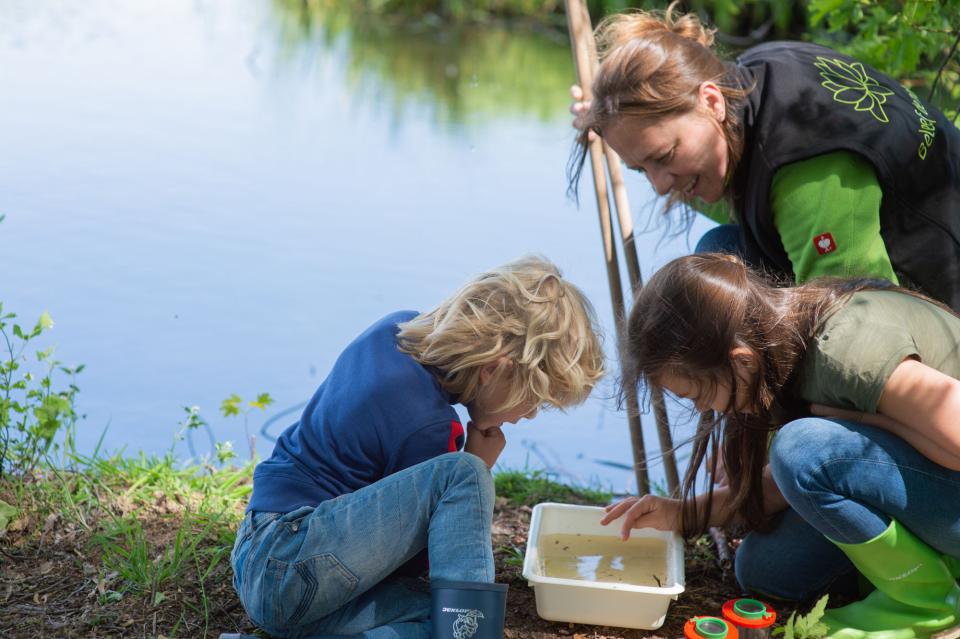 Kinderen en vrouw naast water kijken in bak water met loeppotjes en schepnetten
