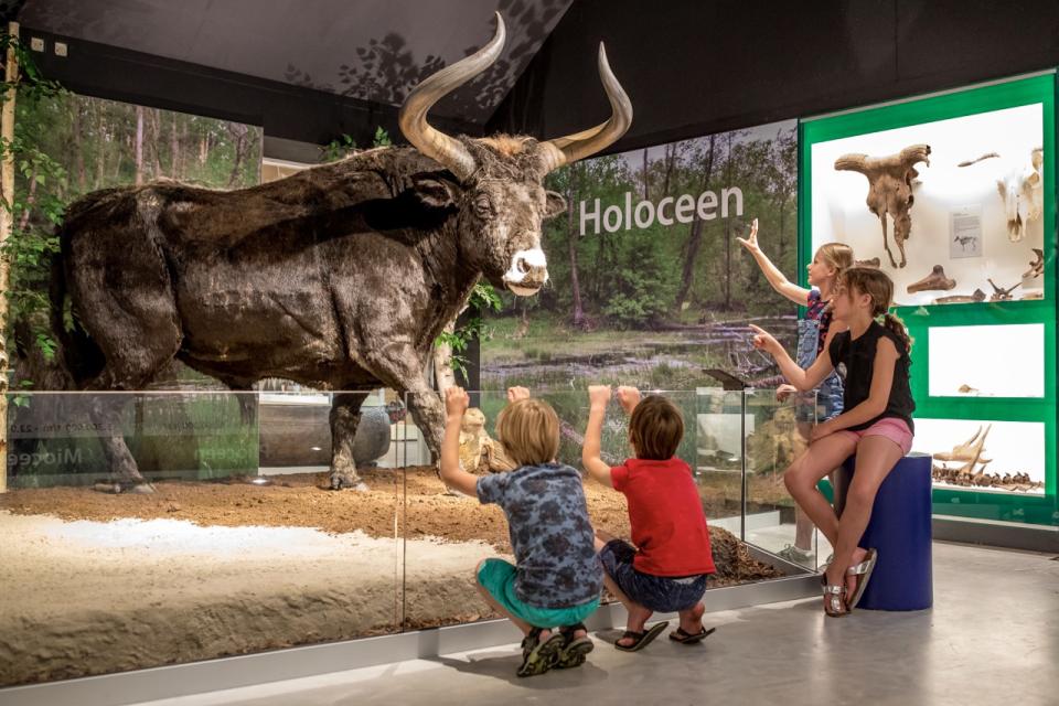 Kinderen bij opgezet dier in museum