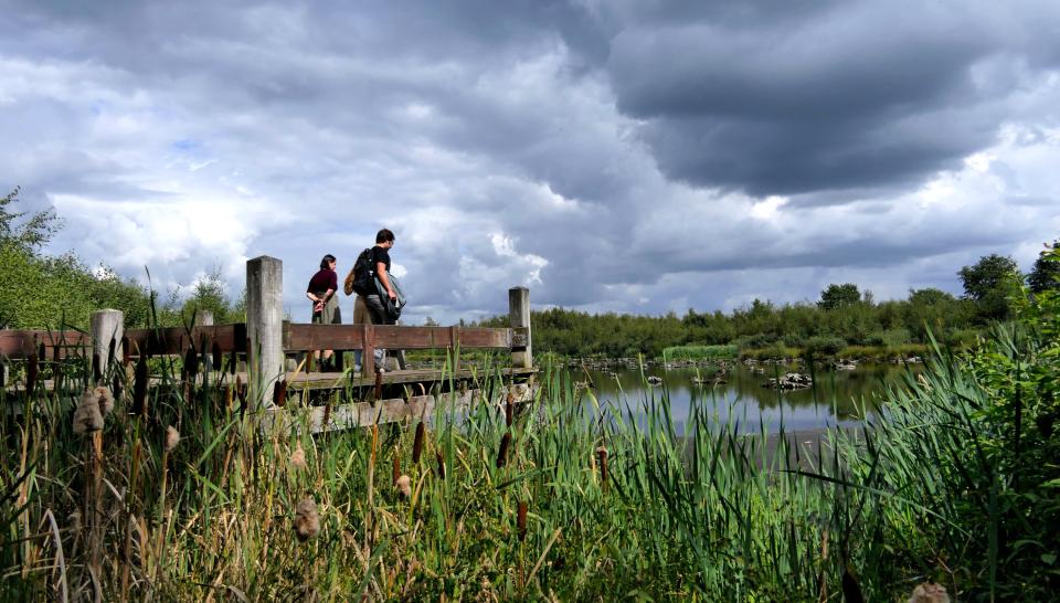 Mensen op verhoogde vlonder aan water met oeverplanten