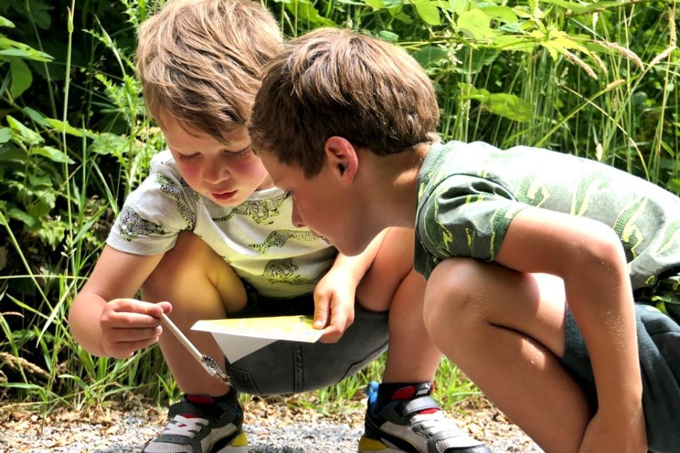 Twee jongens met een potlood met een rups erop