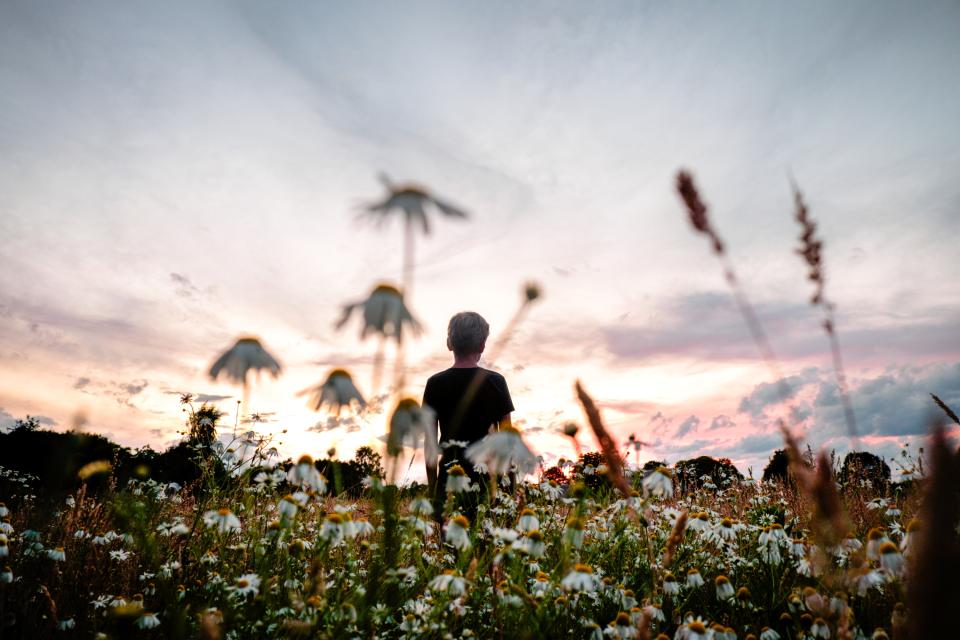 Persoon in landschap met bloemen en lage zon