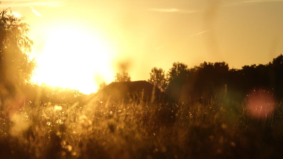 Opkomende zon in landschap met dauw op gras