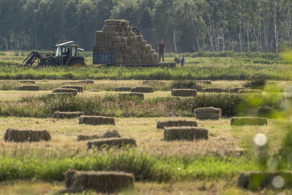 Boerenlandschap met hooibalen, tractor en boeren aan het werk