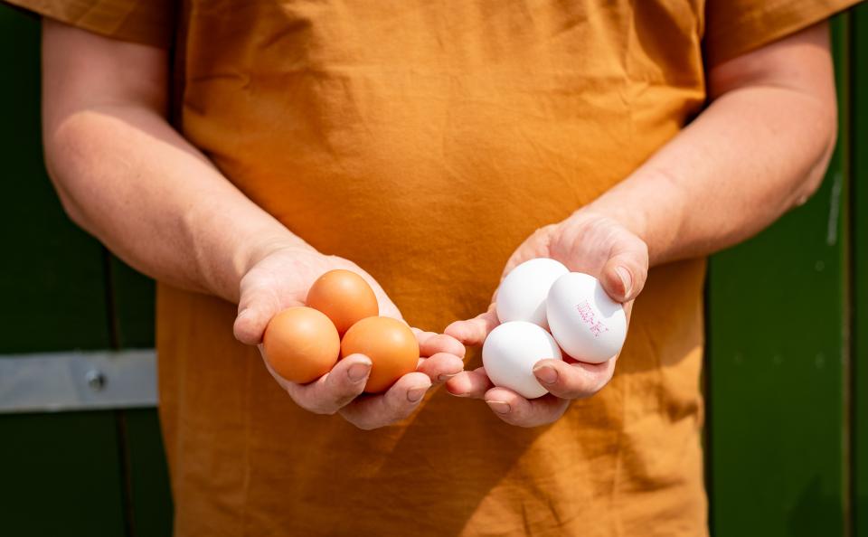 Persoon met oranje shirt houdt bruine en witte eieren vast