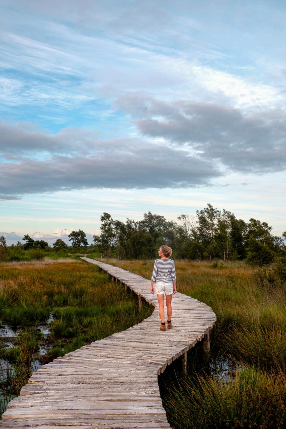 Vrouw op knuppelbrug in weids hoogveenlandschap