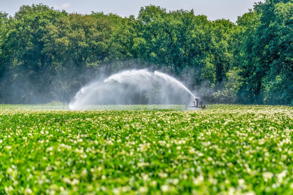 Akkergrond met planten en sproeier met bomen erachter