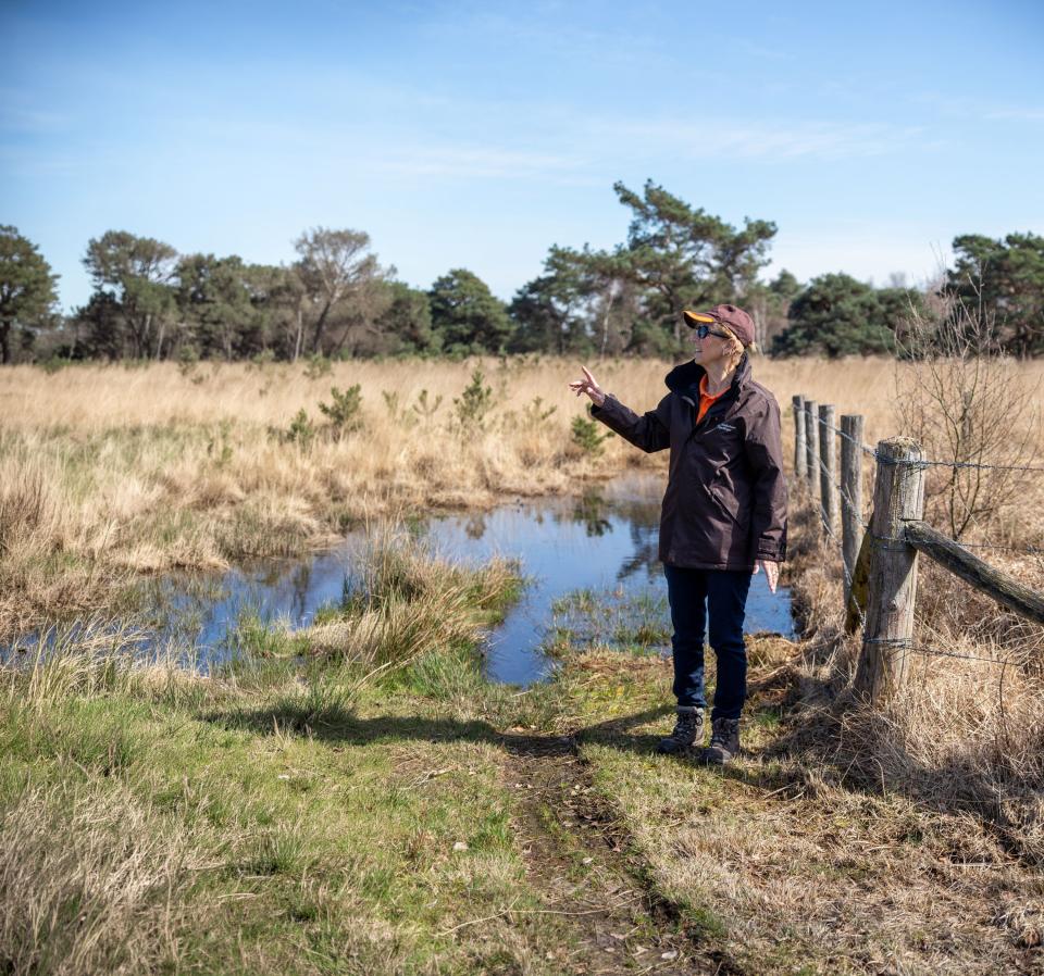 Vrouw in gidsoutfit wijst naar links in hoogveenlandschap