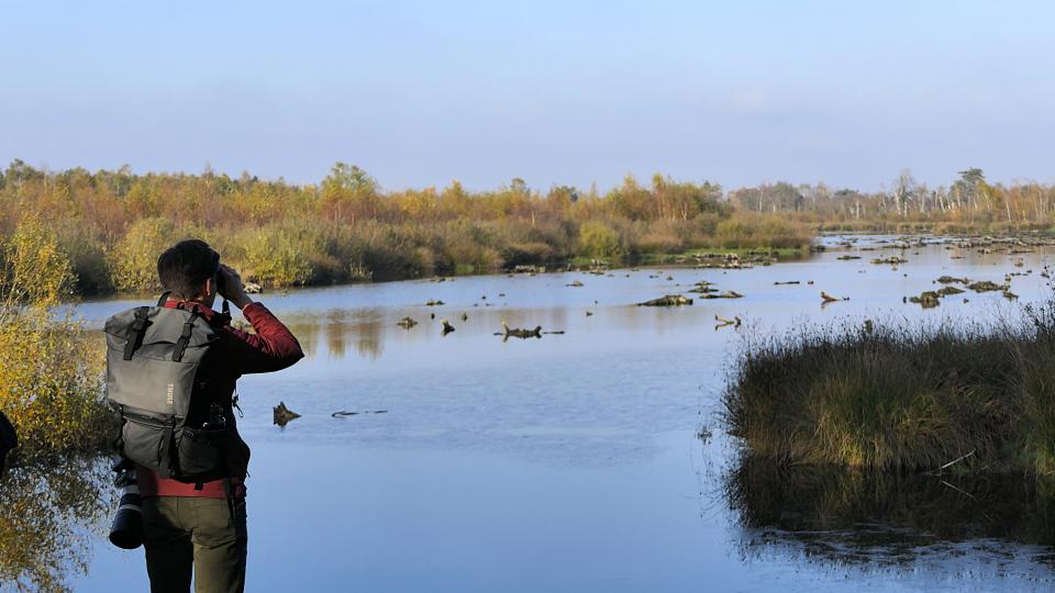 Man met verrekijker aan waterplas met bomen en pitrus