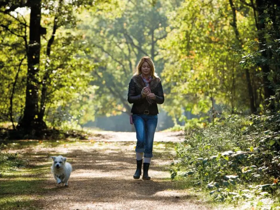 Vrouw met hond op pad in bos