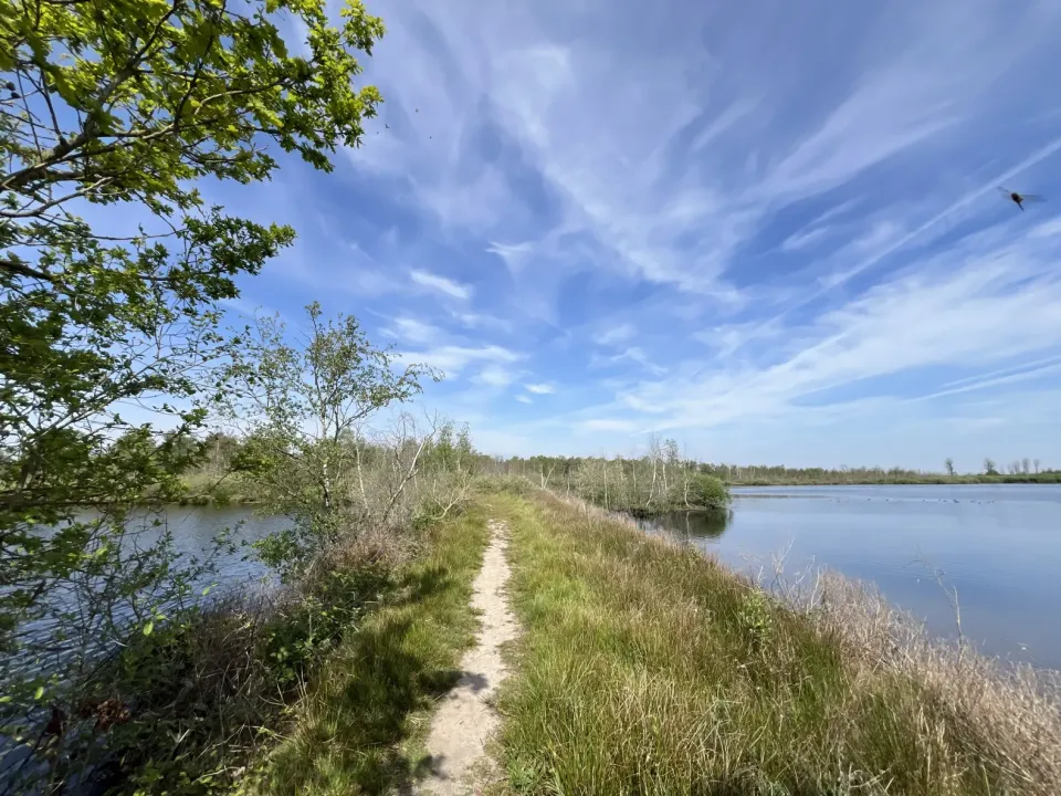 Wandelpad tussen water door