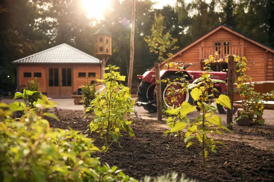 Planten, tractor en houten gebouwen