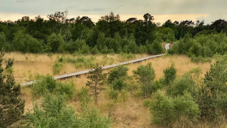 Afstandsfoto van knuppelbrug door landschap
