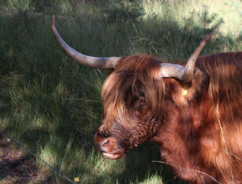 IVN dinsdagmiddag wandeling senioren sept