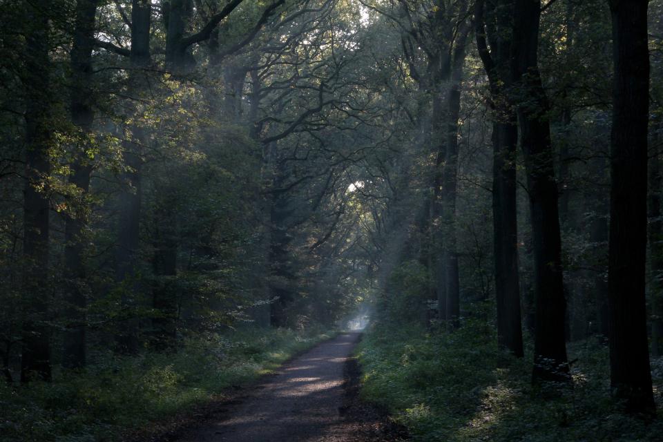 IVN dinsdagmiddag wandeling oktober