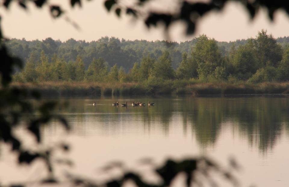 IVN dinsdagmiddag wandeling senioren juni