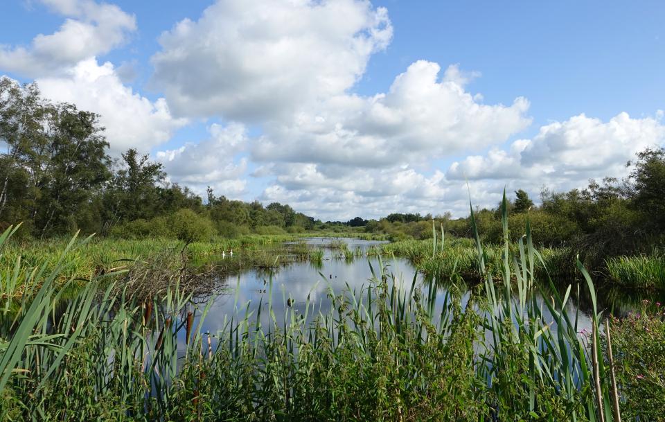 Excursie met Peelgids in de Deurnsche Peel vanaf Natuurpoort Deurne