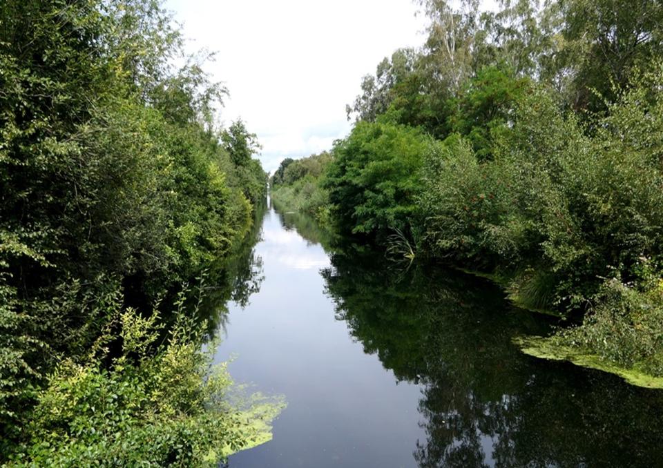 Excursie met gids van Staatsbosbeheer