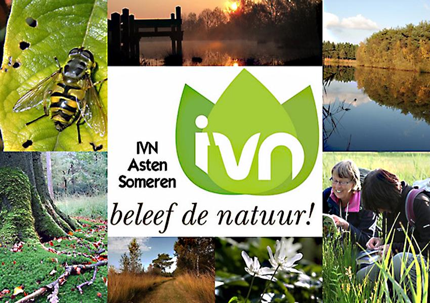 Publiekswandeling  IVN Asten Someren De Peel