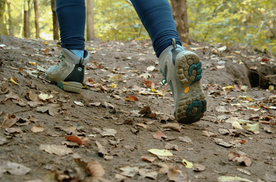 Dagje wandelen met De Stappers juni