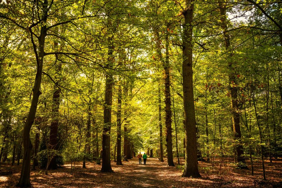 Dagje wandelen met De Stappers mei